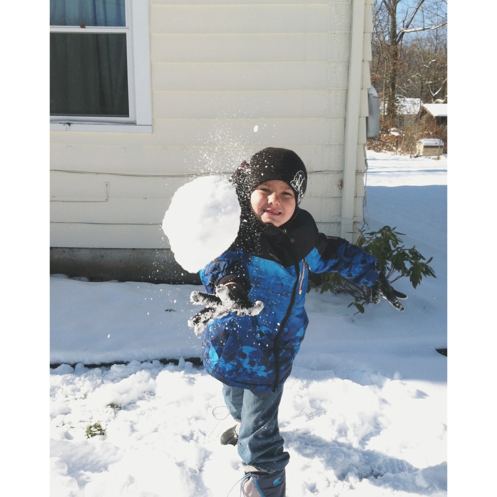 Snow fight