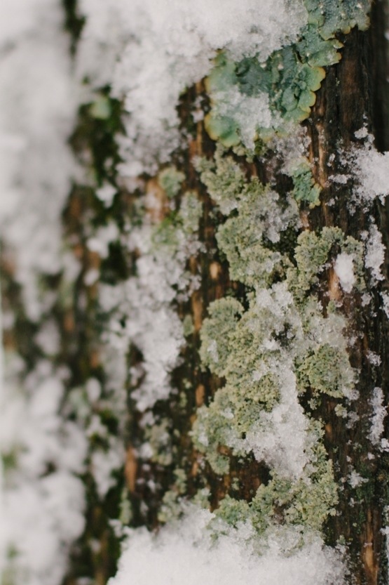 The End of the Winter Spell >>> AndreaDozier.com