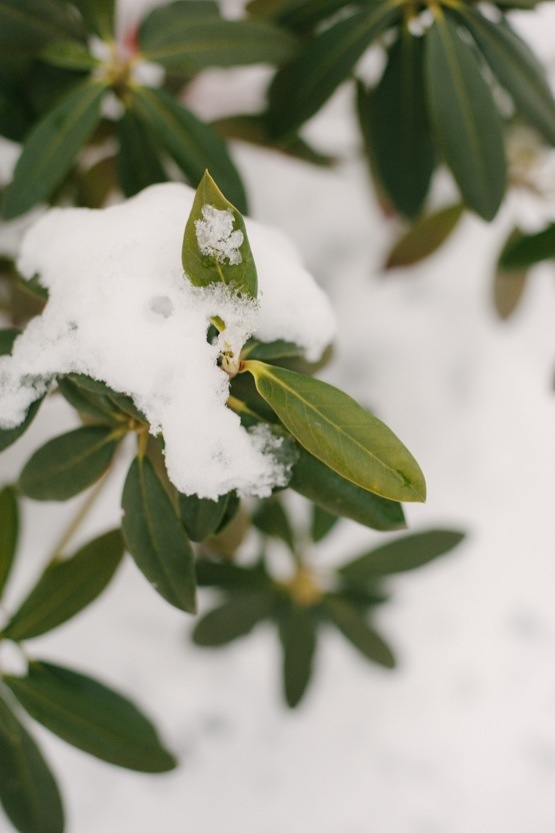 The End of the Winter Spell >>> AndreaDozier.com