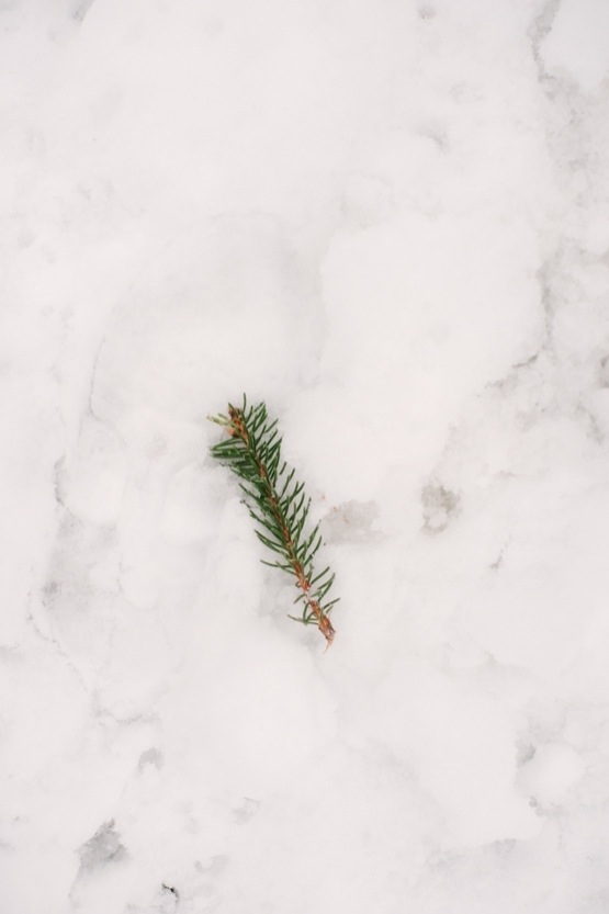 The End of the Winter Spell >>> AndreaDozier.com