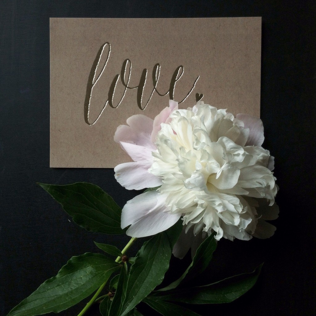 Peony Love by Andrea DoziÃ©r Photography